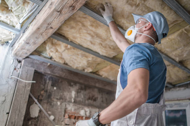 Best Cellulose Insulation in Ashland, CA