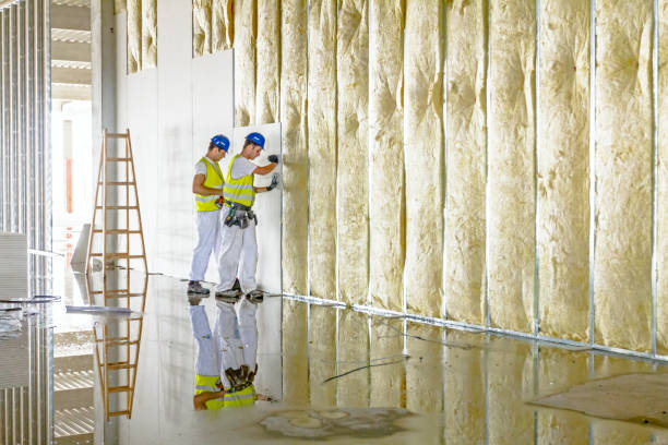 Best Eco-Friendly Insulation in Ashland, CA